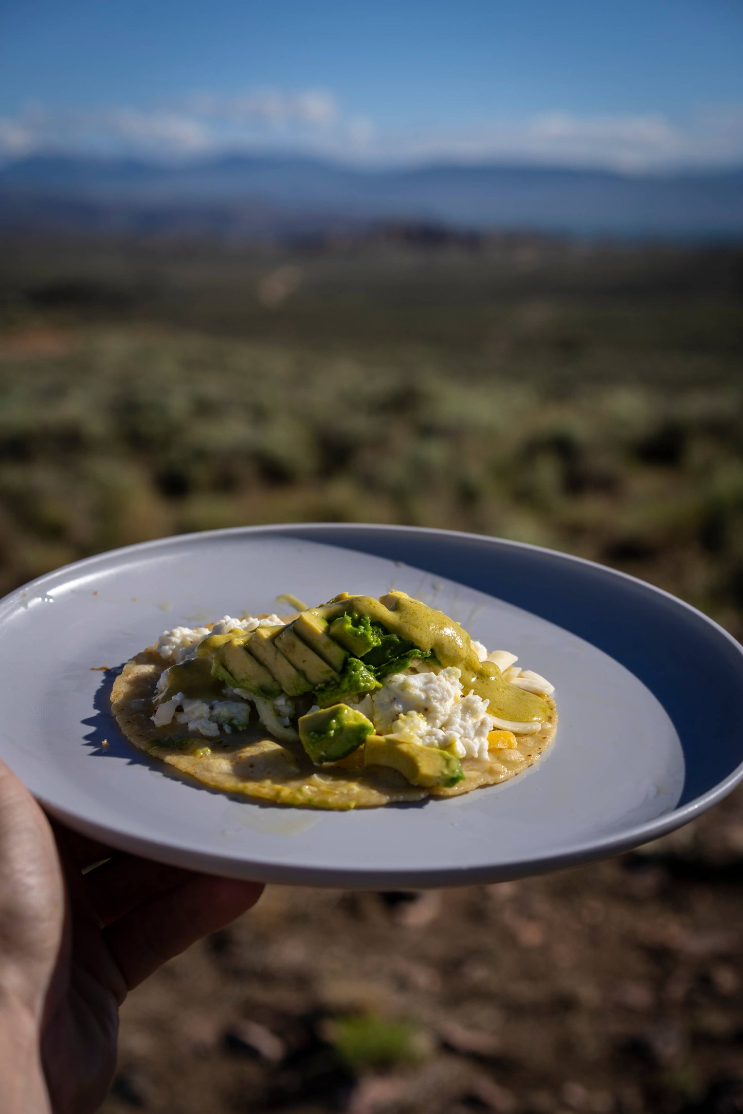 Super Green Cremosa | Hot Sauce (12 oz)