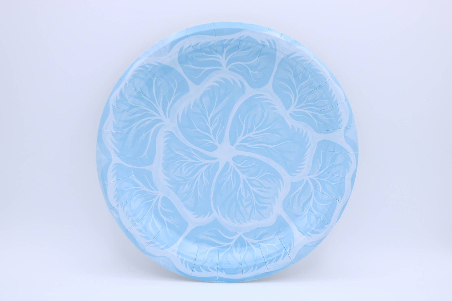Melissa's Garden Cabbage Salad and Dessert Plates (Pack of 8)