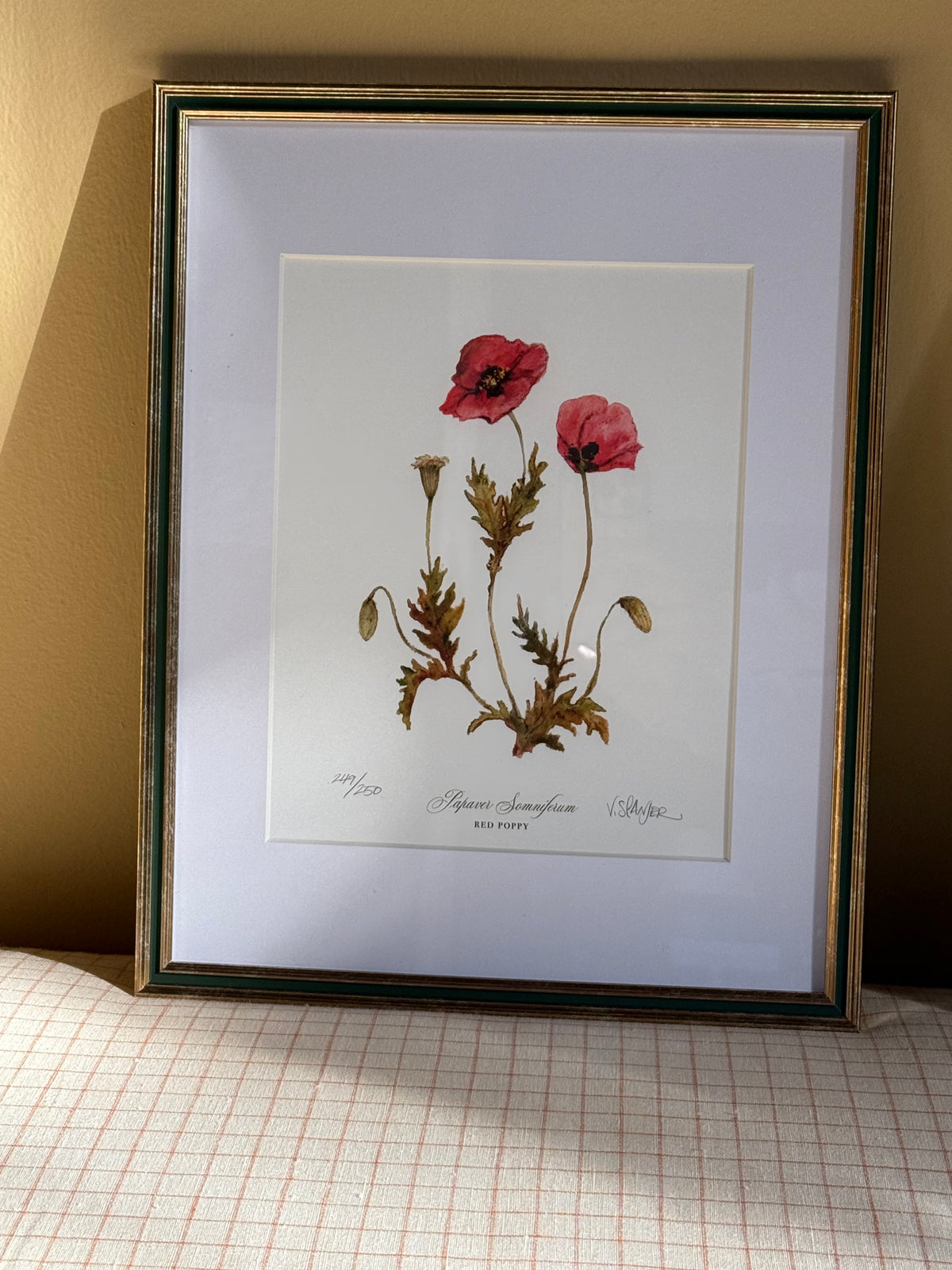 Framed Poppies Print
