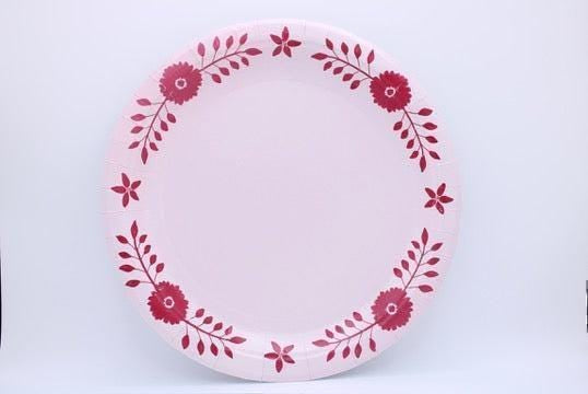 Daisy Josephine Dinner Plates | Disposable China Plates in Ballet and Berry