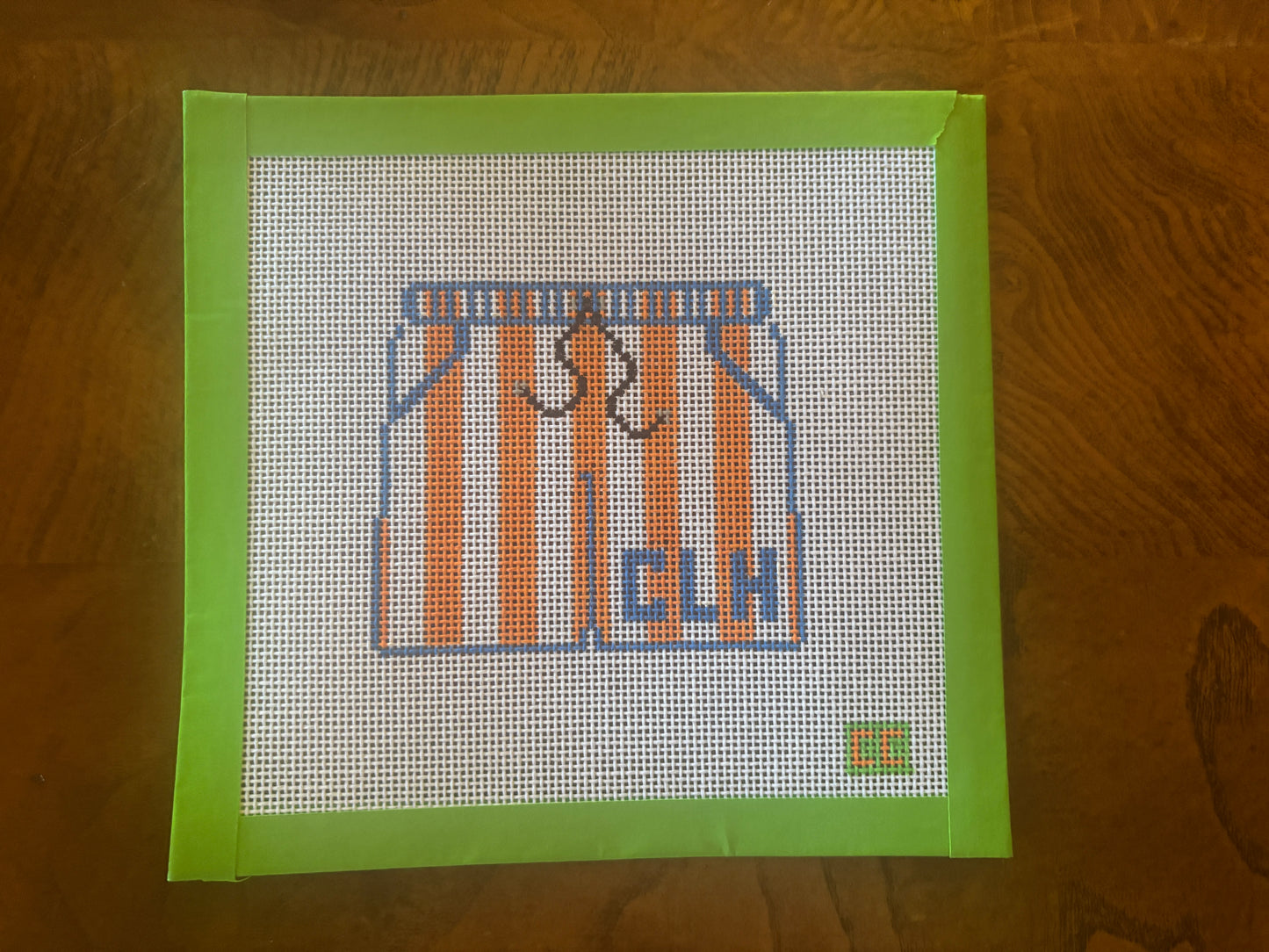 Boys Camp Longhorn Swimsuit Needlepoint Canvas