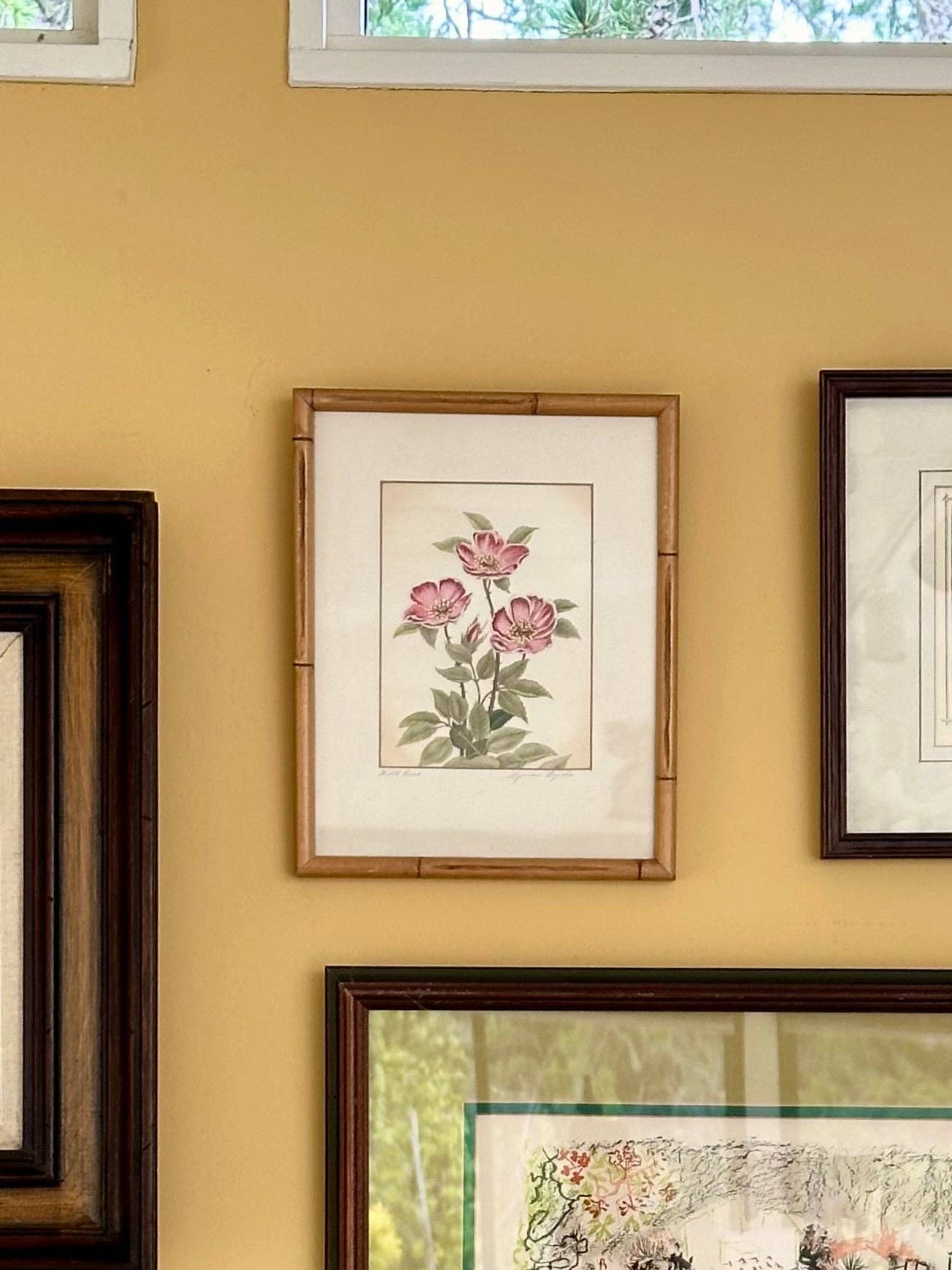 Lyman Byxbe, Pair of Framed Botanic Lithographs
