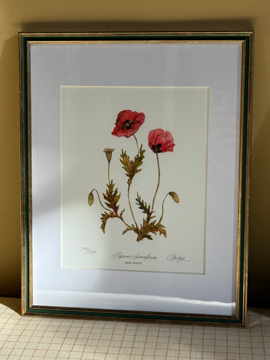 Framed Poppies Print