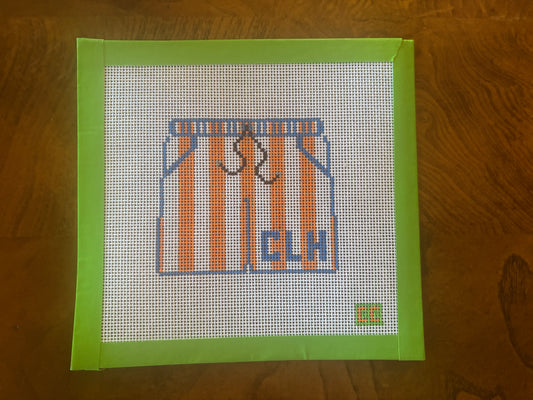 Boys Camp Longhorn Swimsuit Needlepoint Canvas