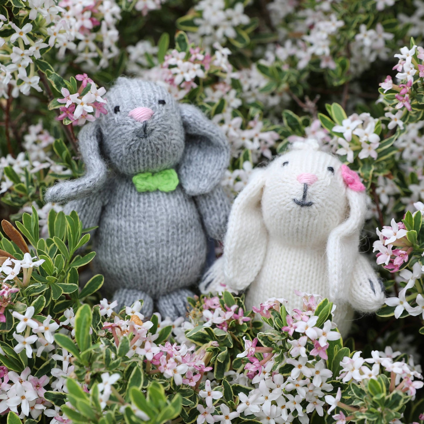 Bunny with Pastel Accessory